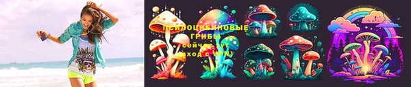 СК Алексеевка