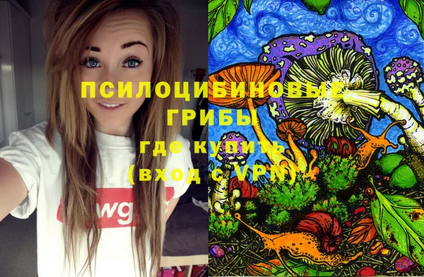 СК Алзамай