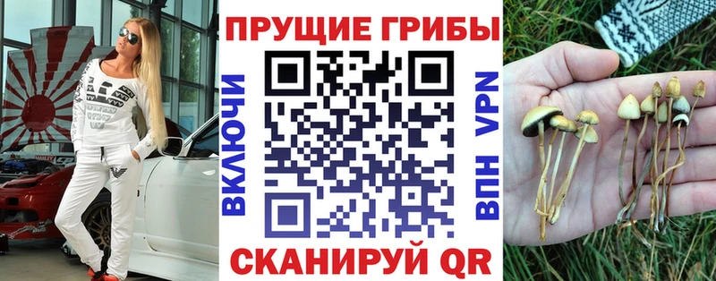 продажа наркотиков  hydra ТОР  Галлюциногенные грибы ЛСД  Лениногорск 